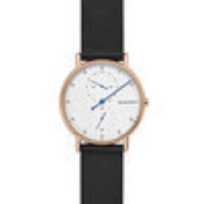 SKAGEN HORLOGE SKW6390