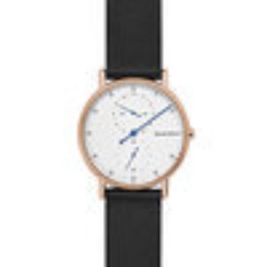 SKAGEN HORLOGE SKW6390
