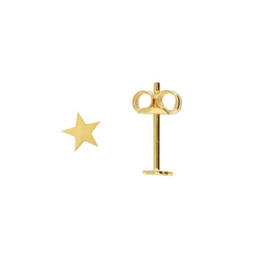 Gouden oorstekers ster JKE20.001