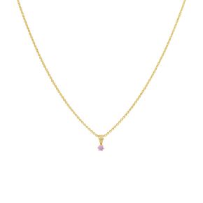 Gouden hanger amethist paars JKP20006