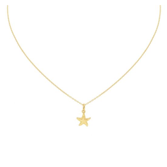 Gouden hanger zeester JKP20042