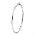 Zilveren bangle gerh 3x60mm 1328174