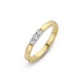 Gouden ring bicolor memoire 3x0.03H/Si mt16.5 706110309