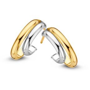 Gouden oorstekers bicolor OR406818