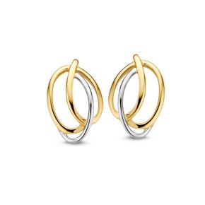 Bicolor gouden oorstekers OB406908