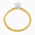 Gouden ring bicolor 0.05TW/SI R2022/005175