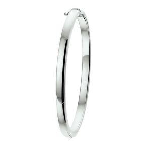 Zilveren bangle 4mm x 60mm 1324517