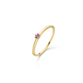 Gouden ring met amethist JKR20006/52