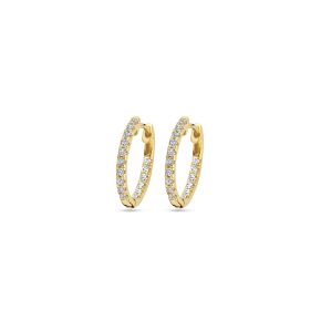 Gouden oorringen 2x16.5mm LG 0.46GH/SI 4031985