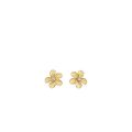 Cammilli oorstekers Cherry Bloom Yellow Sunrise 0.06dia GOR3767U