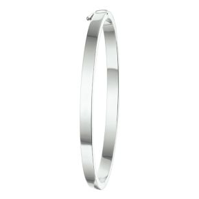 Zilveren bangle 4x56mm 1324523