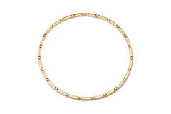 Boccia collier titanium geel verguld 08089-03