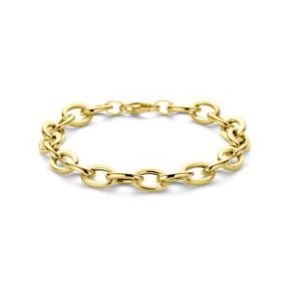 Gouden armband 8,5mm 19cm 6,8gr 4034542