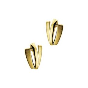 Gouden oorstekers mat/glans 4011573