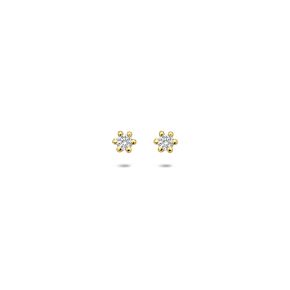 Gouden oorstekers LG 2x0.05crt G/VS 4035485