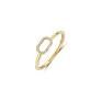 Gouden ring ovaal met zirkonia 1289YZI/54