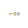 Blush gouden oorsteker zirkonia 7014YZI