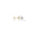 Blush gouden oorsteker zirkonia 7014YZI