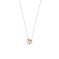 Witgouden collier 3x cirkel tricolor 3055WYR