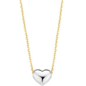 Gouden collier met witgouden hart 3061BGO
