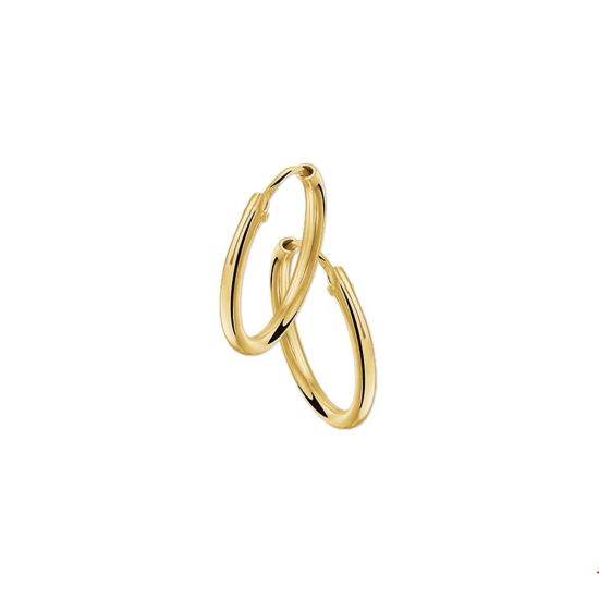 Gouden oorringen 1.8x30mm 4001286