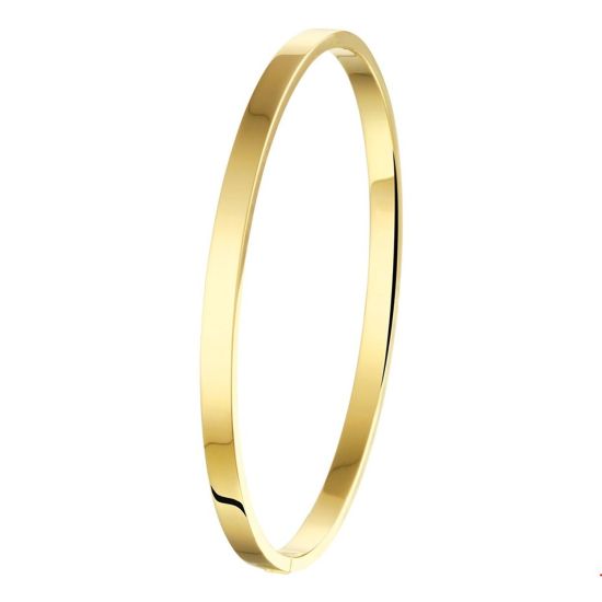 Gouden bangle zilveren kern 4x61mm 9gr 5000138