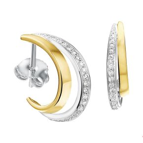 Gouden oorstekers bicolor 0.16 H/SI 4208153