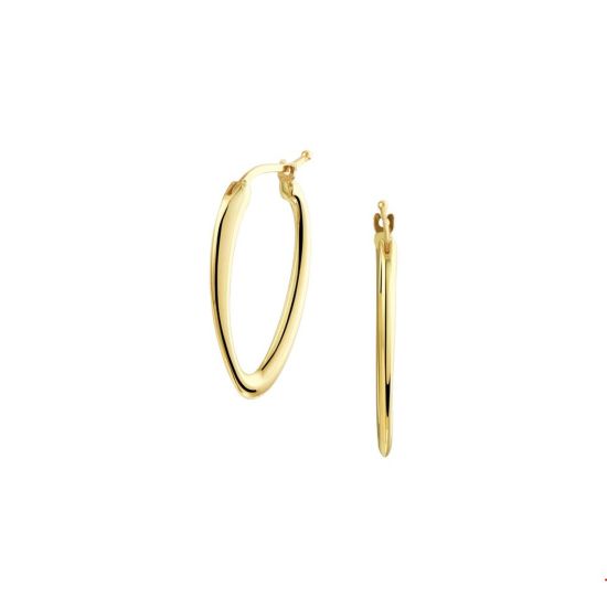 Gouden oorringen ovaal 2.5x30mm 4020658