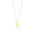 Gouden collier plaatje 3080YGO