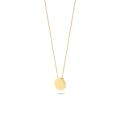 Gouden collier plaatje 3080YGO