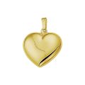 Gouden hanger hart 16mm 4005730