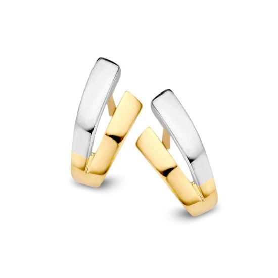 Gouden oorstekers bicolor OF406255