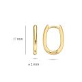 Blush gouden oorringen 7219YGO 