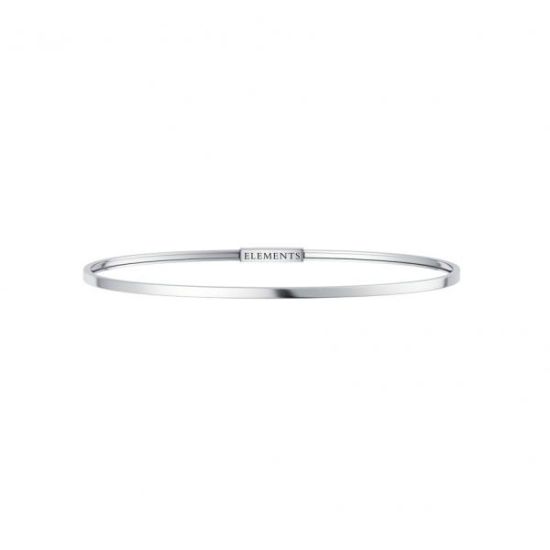 Zilveren bangle  DFBF4108-M