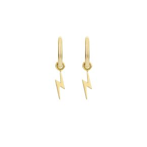 Blush gouden oorbelbedels 9060YGO