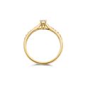 gouden Blush Diamonds ring, 4poot+ 0.33ct briljant mt54