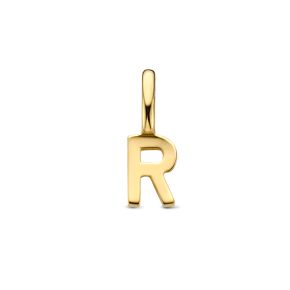 Gouden hanger letter R 4023985