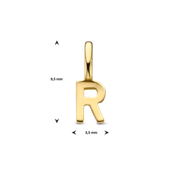 Gouden hanger letter R 4023985