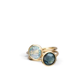 Geelgouden ring met blt en lbt AN2212V2-54