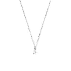 Collier klaver 40 + 5 cm