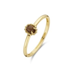 Gouden ring bruin cats eye mt 52 1225YCB/52