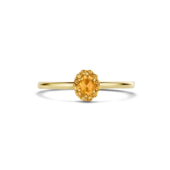 Gouden ring citrien mt 54 1226YCI/54
