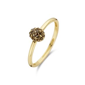 Gouden ring rookkwarts mt 52 1226YSQ/52