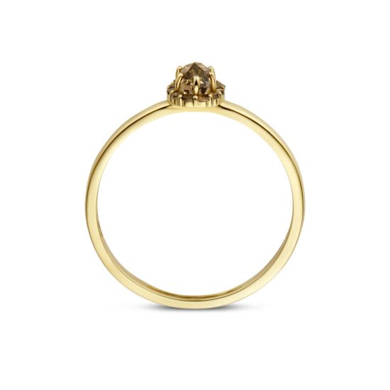 Gouden ring rookkwarts mt 52 1226YSQ/52