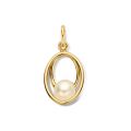 Gouden hanger zoetwaterparel HB137519