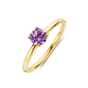 Gouden ring amethist 5mm mt17.5 4027544