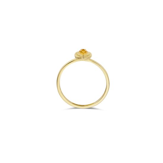 Gouden ring met parelmoer en citrien mt 54  1239YMC/54