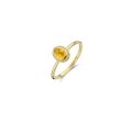 Gouden ring met parelmoer en citrien mt 54  1239YMC/54