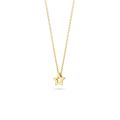 Gouden collier ster 3151YGO