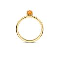 Gouden ring citrien mt 54 1242YCI/54